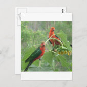 Wat? Briefkaart (Voorkant / Achterkant)