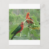 Wat? Briefkaart (Voorkant)