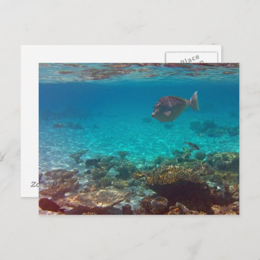 Wat? Briefkaart (Voorkant / Achterkant)