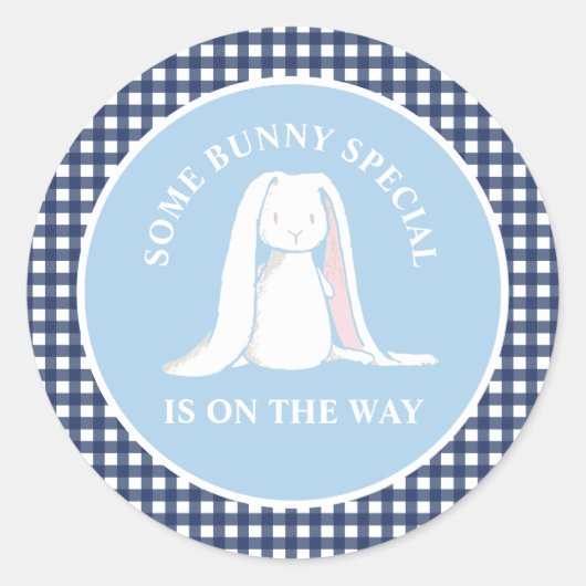 Wat Bunny blauw gingham baby shower Ronde Sticker (Voorkant)