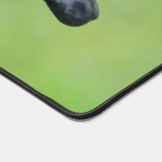 Wat Bureaumat (Hoek)