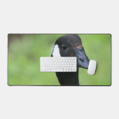 Wat Bureaumat (Keyboard & Muis)