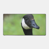 Wat Bureaumat (Voorkant)