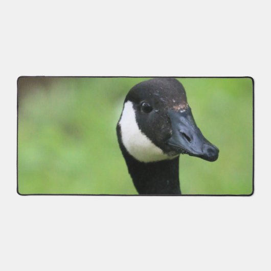 Wat Bureaumat (Voorkant)