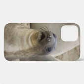 WAT? Case-Mate iPhone CASE (Achterkant (horizontaal))