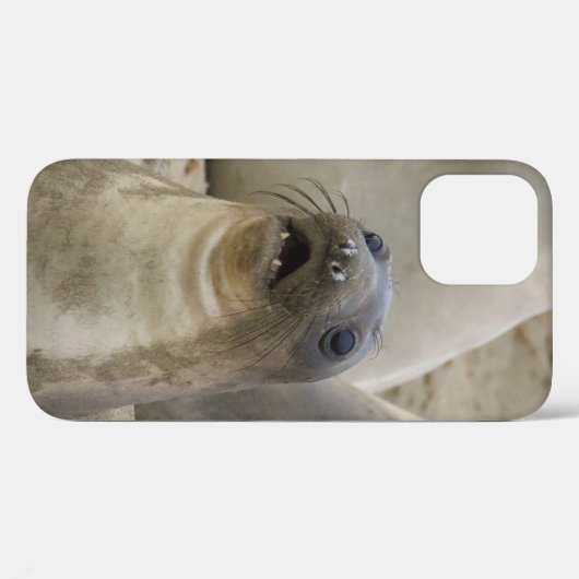 WAT? Case-Mate iPhone CASE (Achterkant (horizontaal))
