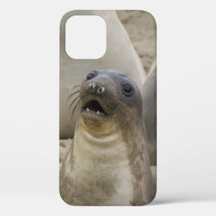 WAT? Case-Mate iPhone CASE