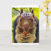 WAT DACHT JE VAN EEN "PRATENDE EEKHOORN" VOOR JE V KAART (Gele Bloem)