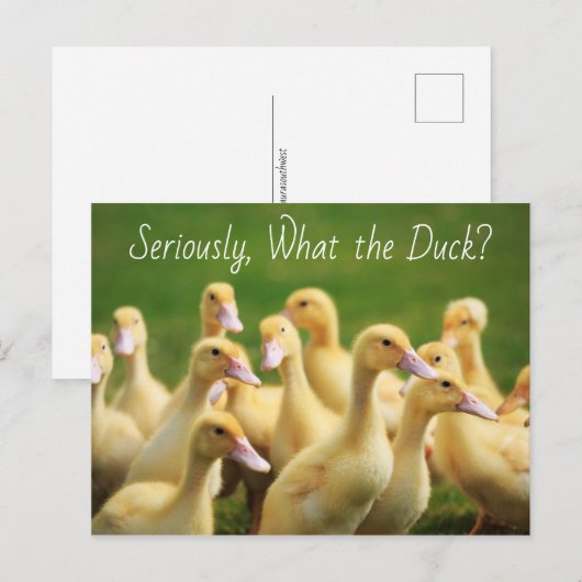 Wat de Duck Cute Ducklings Briefkaart (Voorkant / Achterkant)