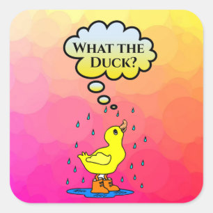 Wat de Duck? Sticker