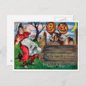 Wat de jongens aan het Briefkaart koeien hebben ge (Voorkant / Achterkant)