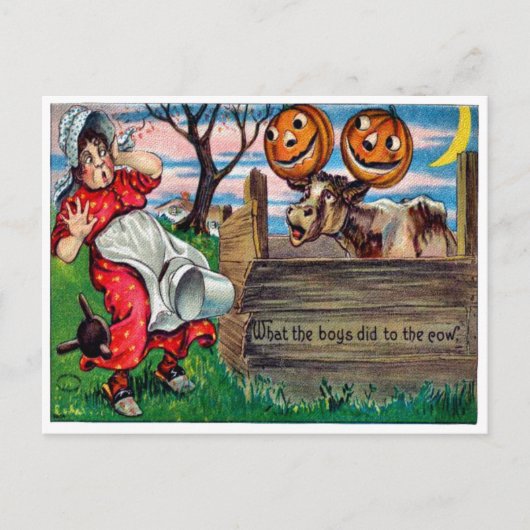 Wat de jongens aan het Briefkaart koeien hebben ge (Voorkant)