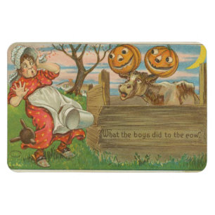 Wat de jongens deden met de Koe Halloween Vintage Magneet