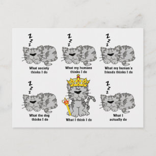 Wat de kat grappig vindt briefkaart