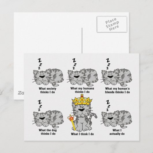 Wat de kat grappig vindt briefkaart (Voorkant / Achterkant)