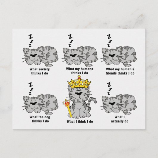 Wat de kat grappig vindt briefkaart (Voorkant)