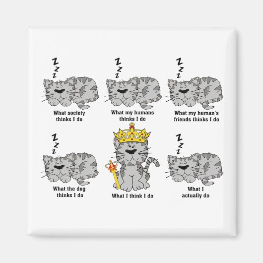 Wat de kat grappig vindt magneet (Voorkant)