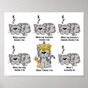 Wat de kat grappig vindt poster