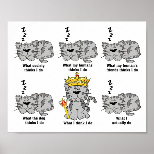 Wat de kat grappig vindt poster (Voorkant)