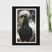 Wat de klok is gebeurd Funny Chicken Pun Kaart (Voorkant)