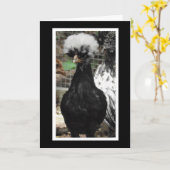 Wat de klok is gebeurd Funny Chicken Pun Kaart (Gele Bloem)