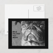 Wat de pug briefkaart (Voorkant / Achterkant)