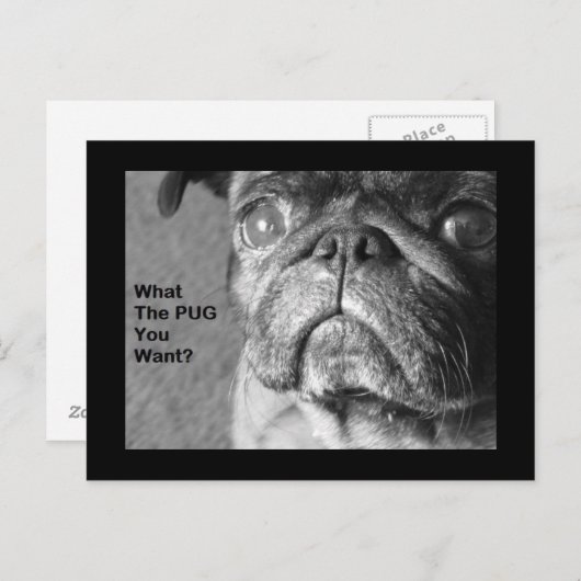 Wat de pug briefkaart (Voorkant / Achterkant)