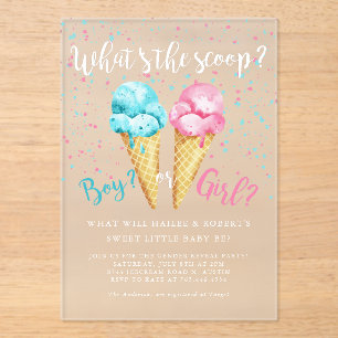 Wat de Scoop Ice Cream Gender Reveal Party Acryl Uitnodigingen