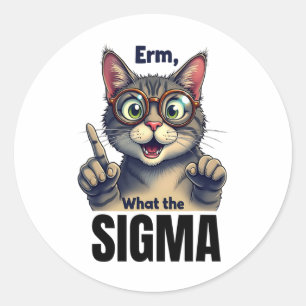 Wat de sigma grappige kat liefhebbers ronde sticker
