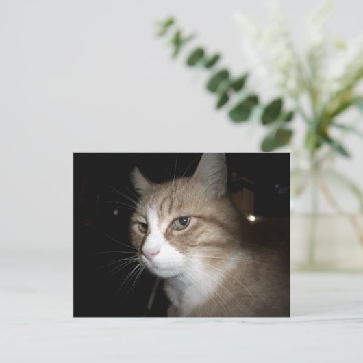 Wat denkt hij? briefkaart (Staand voorkant)