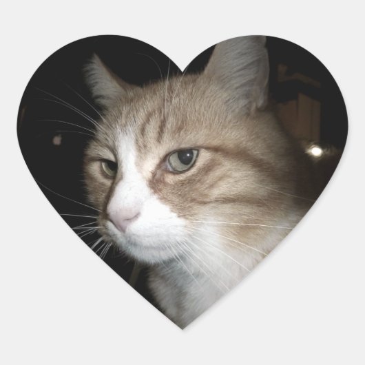 Wat denkt hij? hart sticker (Voorkant)