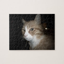 Wat denkt hij? legpuzzel
