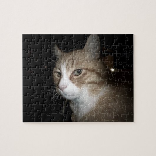 Wat denkt hij? legpuzzel (Horizontaal)