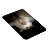 Wat denkt hij? magneet (Rechterzijde)