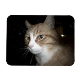 Wat denkt hij? magneet