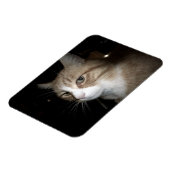 Wat denkt hij? magneet (Linkerzijde)