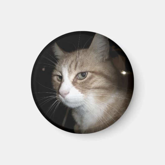 Wat denkt hij? magneet (Voorkant)