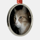 Wat denkt hij? metalen ornament (Rechts)