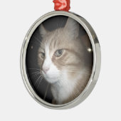 Wat denkt hij? metalen ornament (Links)