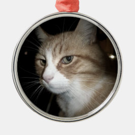 Wat denkt hij? metalen ornament