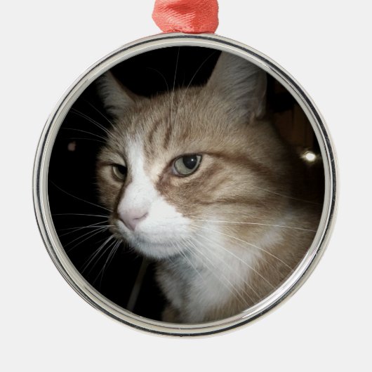 Wat denkt hij? metalen ornament (Voorkant)