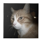 Wat denkt hij? tegeltje (Voorkant)