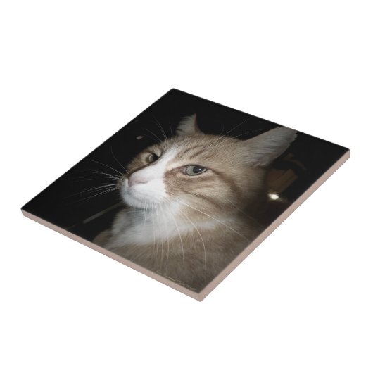 Wat denkt hij? tegeltje (Zijkant)