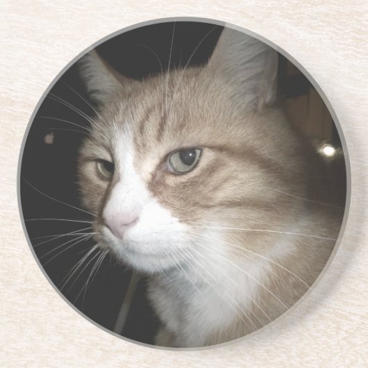 Wat denkt hij? zandsteen onderzetter (Voorkant)