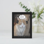 Wat doen huiskatten de hele dag? briefkaart (Staand voorkant)