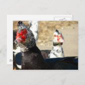 "Wat doet u?" Briefkaart (Voorkant / Achterkant)