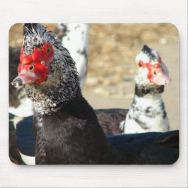 "Wat doet u?" Muismat