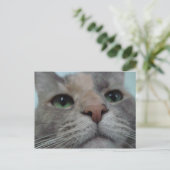 Wat doet Ya? Briefkaart (Staand voorkant)