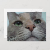 Wat doet Ya? Briefkaart (Voorkant / Achterkant)