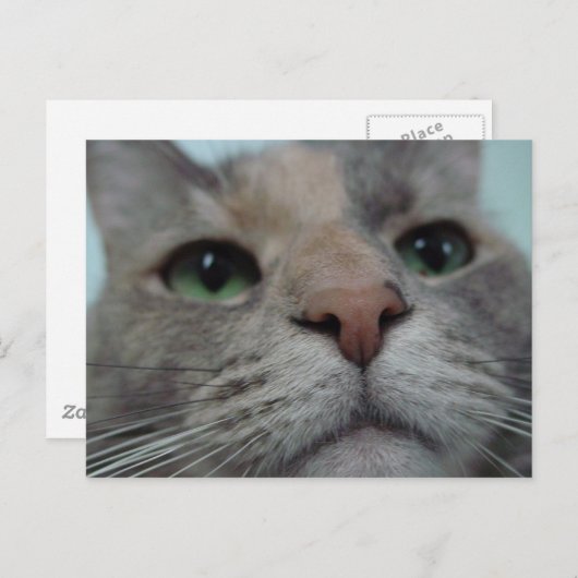 Wat doet Ya? Briefkaart (Voorkant / Achterkant)